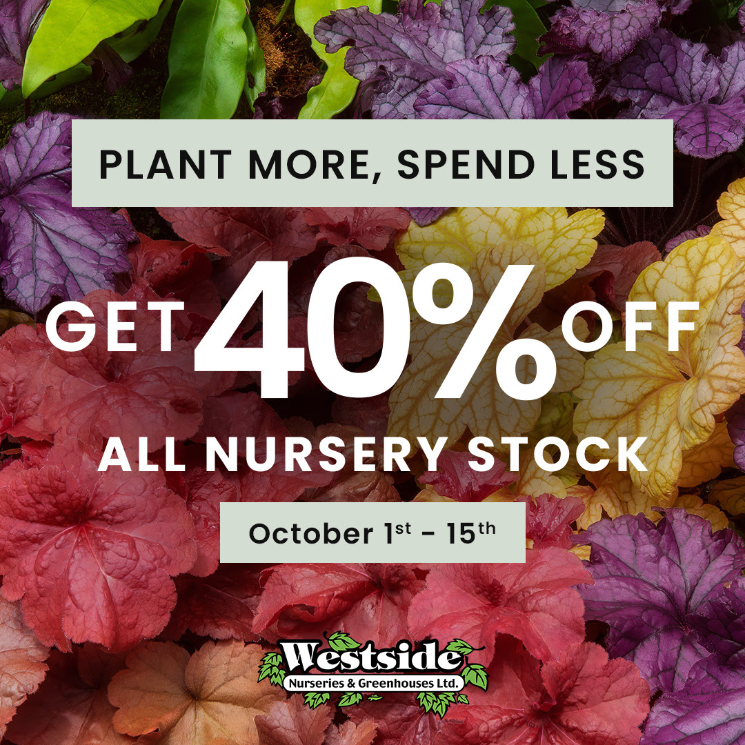 fall-progression-sale-40