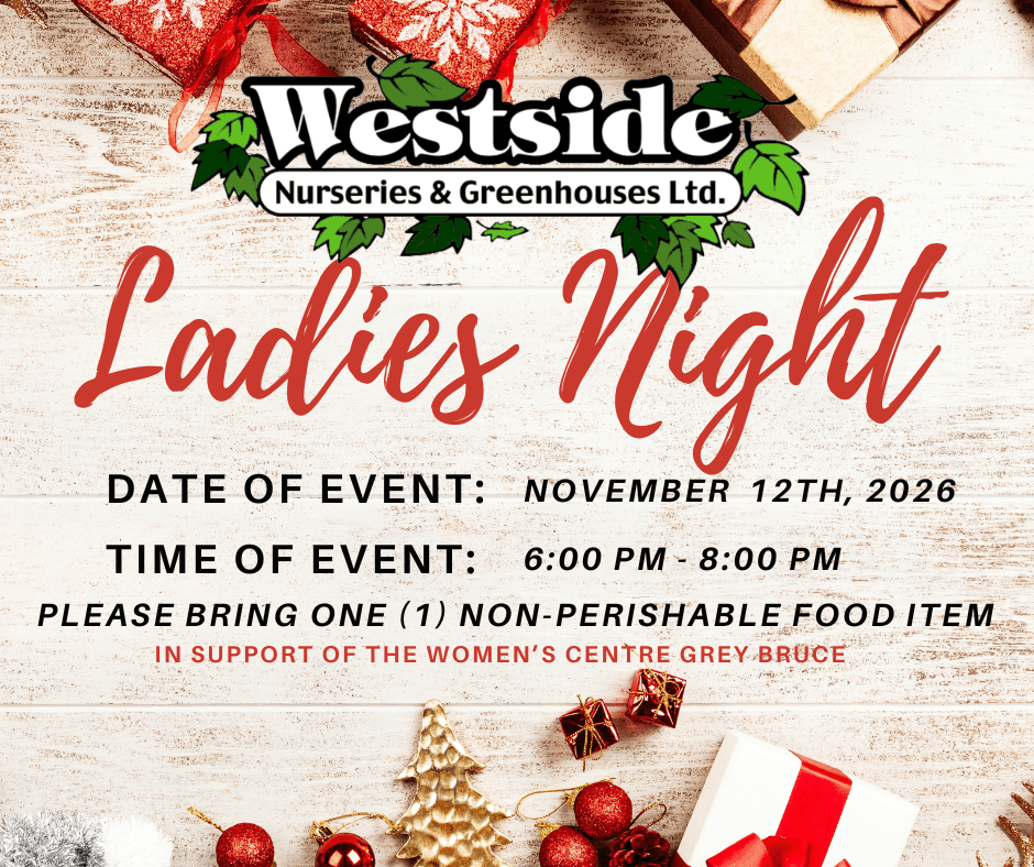 Christmas-ladies-night-2026