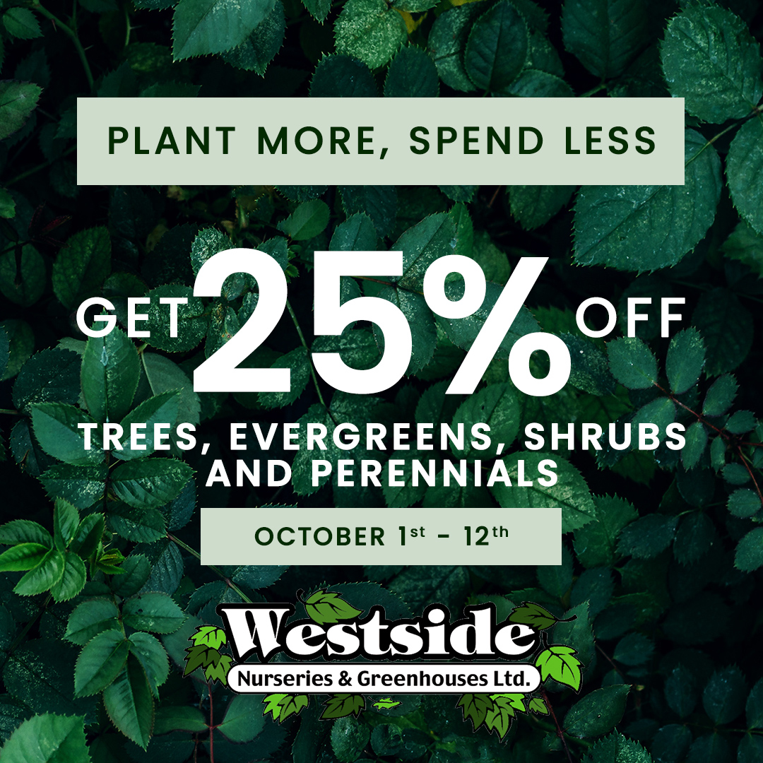 Fall Nursery Sale 25%